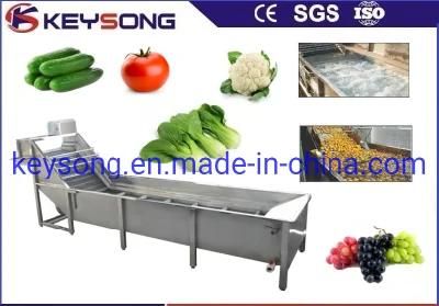Steady Performance Fruit Washing Machinery