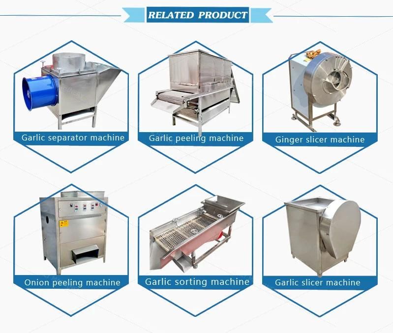 Factory Directly Supply Garlic Ginger Paste Machine Onion Paste Making Machine