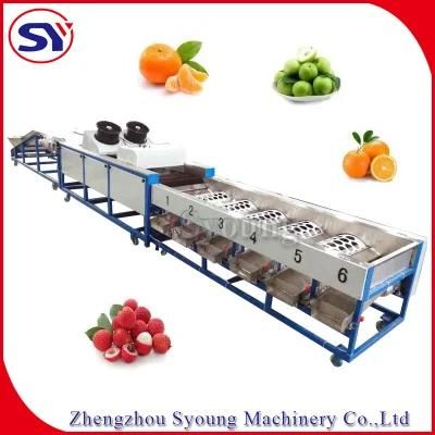 Best Price Fruit Sorting Table Machine for Grading Blueberry Strawberry