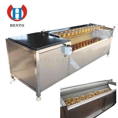 Commercial Fruit and Vegetable Potato Washer