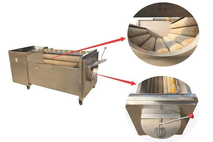 Root Vegetables Beet Peeling Machinery Carrot Washing Peeler Machine