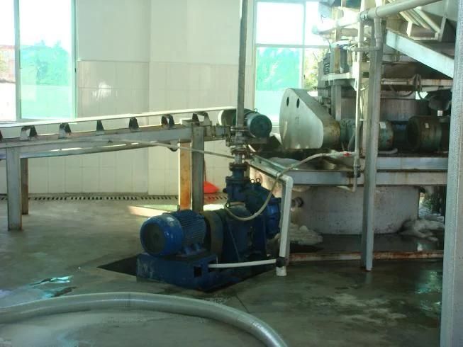 High Grade Sea Salt Production Line