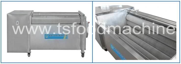Automatic High Efficiency Potato Carrot Brush Washer Peeler Fish Cleaning Machine