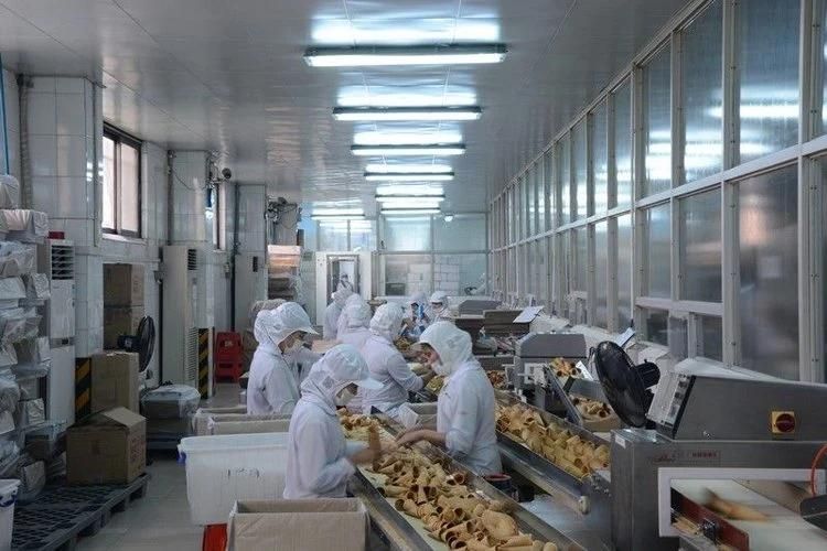 Durable Fully Automatic of 63 Baking Plates 9m Long with After Sales Service Sugar Cone Production Machine