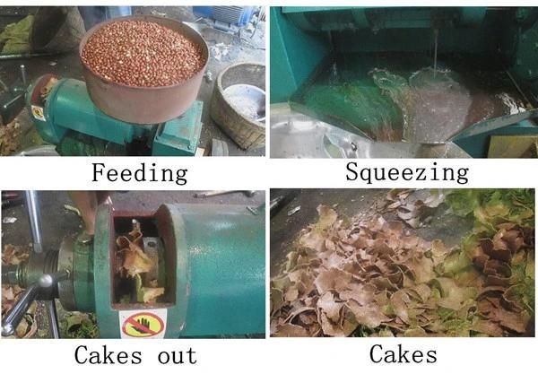 Combined Spiral Sunflower Seeds Oil Press with Oil Filter-W1