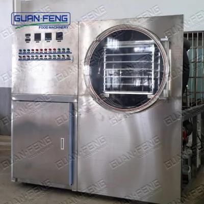 Laboratory Vacuum Freeze Dryer for Food Processing
