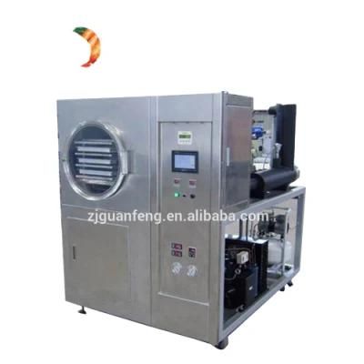 Industrial Lyophilizer Equipment Lab Freeze Dryer for Food Process Industry