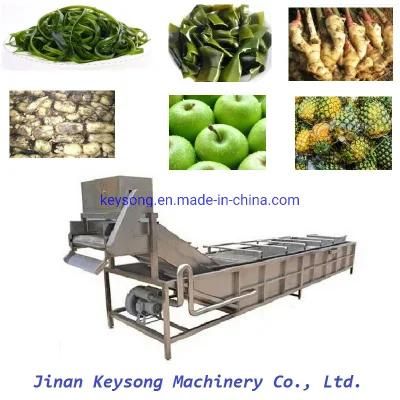 Energy Saving Automatic Garlic Onion Pepper Blueberry Strawberry Washing Equipment