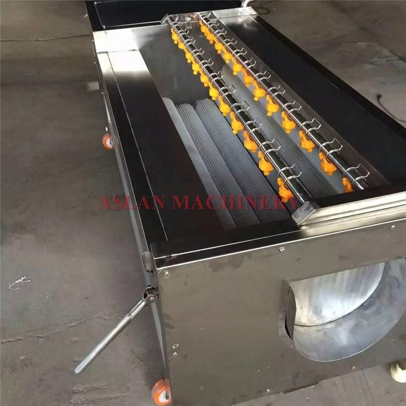 Brush Washing and Peeling Vegetable Fruit Roller Machine Cleaning Machine Food Machinery