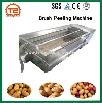 Automatic Fish Cassava Washer and Peelers Potato Carrot Ginger Washing Brush Peeling ...