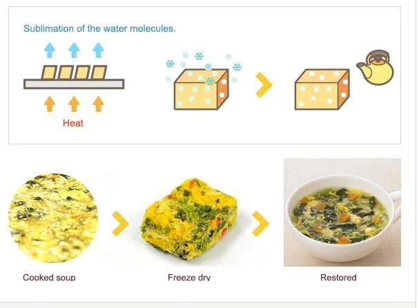 Miso Soup Vacuum Freeze Dryer Miso Soup Lyophilizer