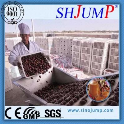 Processing Line for Date Paste, Date Syrup and Date Beverage