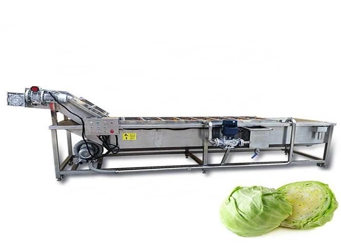 Automatic Washing Vegetable Fruit Cleaning Machine