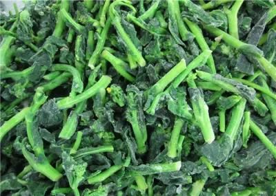 Automatic Frozen Machine Vegetable Fruit Freezing Machine