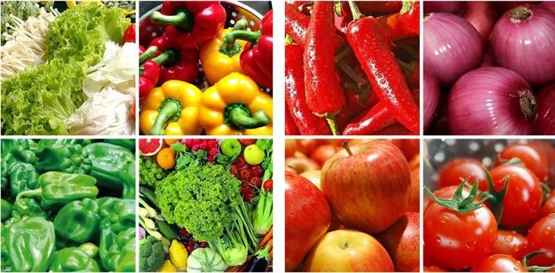 Chinese Suppliers Industrial Vegetable and Fruit Washing Food Processing Machine
