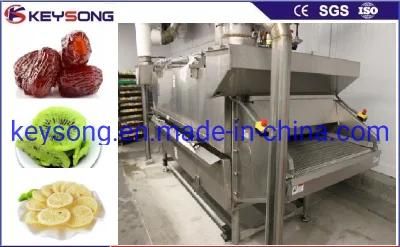 Mesh Belt Dryer for Food Processing Line Drying Fruit Vegetable