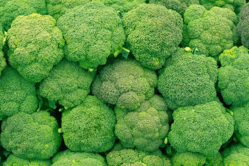 Vegetable Drying Machine Dried Broccoli Freeze Dehydrator