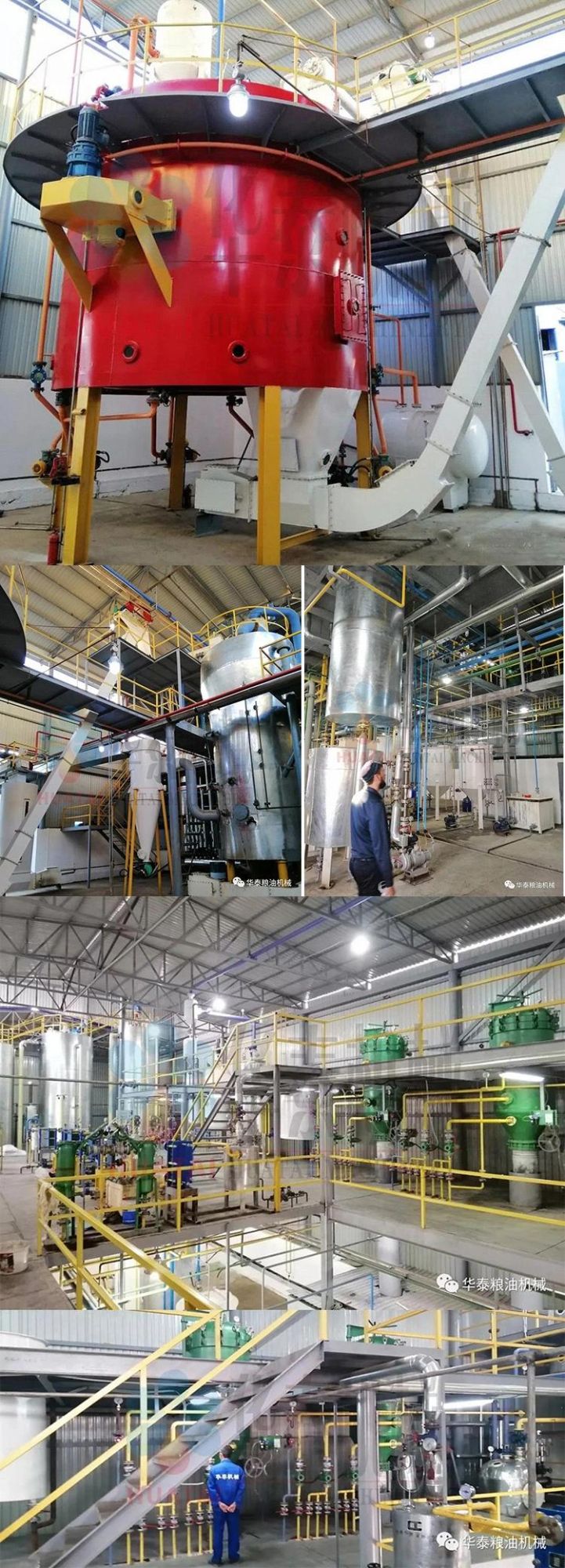 Oilseeds Extruder and Expansion Machine/Soybean Extruder Machine