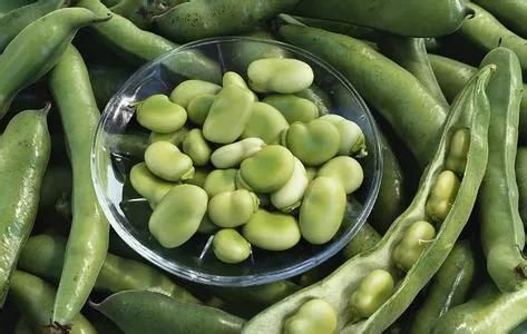 200kg Broad Bean Peeling Machine