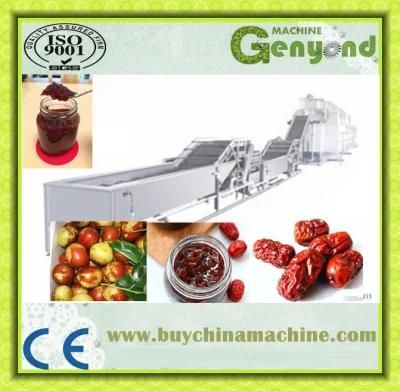 Date Syrup Production Line From Fresh Date