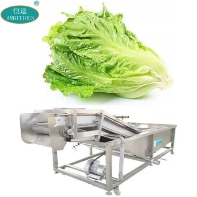 Conveyor Type Continuous Leafy Vegetable Lettuce Washer Machine