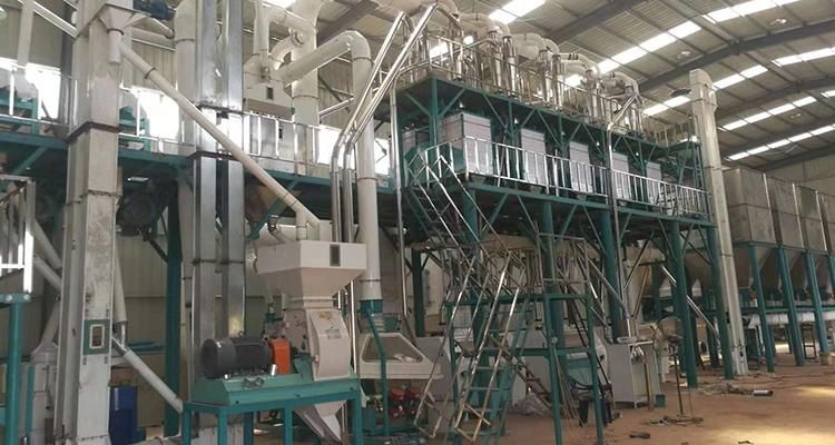 Full Automatic Maize Flour Mill Machine Running in Tanzania