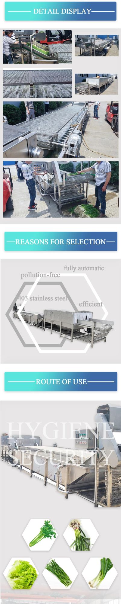 Full Automatic 304ss Factory Price Fruits Vegetables Air Bubble Washer
