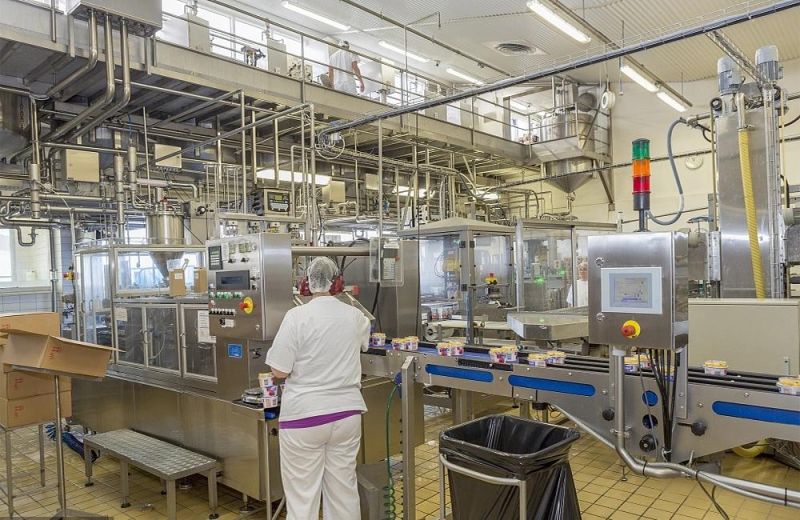 Ws New Product Yogurt Making Machines Production