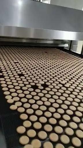 Bcq1500 Soft and Hard Biscuit Machine Line Gas Oven