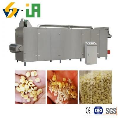 Artificial Rice Plant Fortified Rice Extruder Dal Processing Line