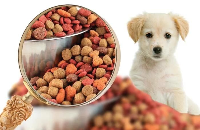 Flavoring Mixer Machines Pet Food Seasoning Machine