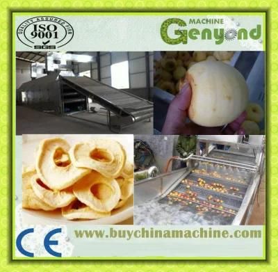 50000PCS Per Hour Apple Slicing Machine