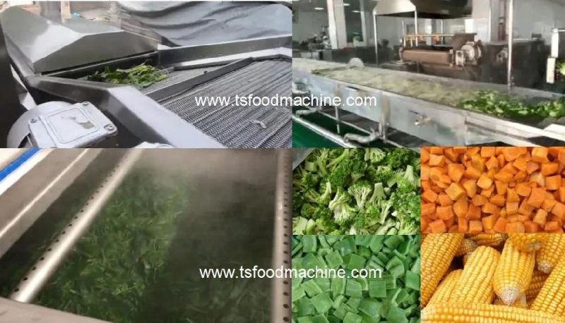 Vegetable Blanching Machine Immersion Belt Cooking Machine System Vegetable Processing Machine