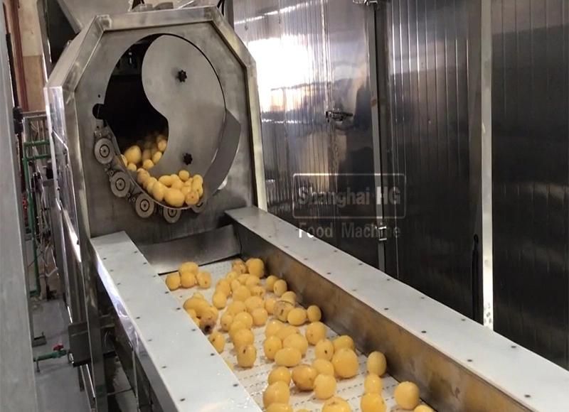 Snack Frozen French Fries Production Line Fresh Potato Chips Fryer Making Frying Food Processing Machine