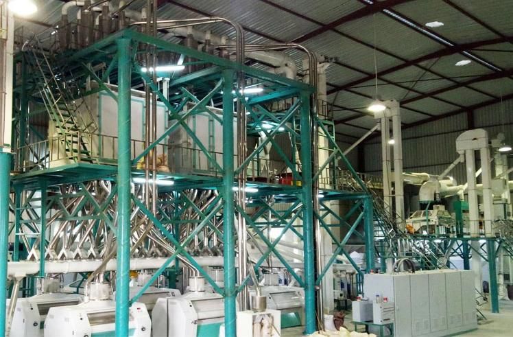 2021 50tonne Maize Flour Machinery Corn Flakes Grinding Facility