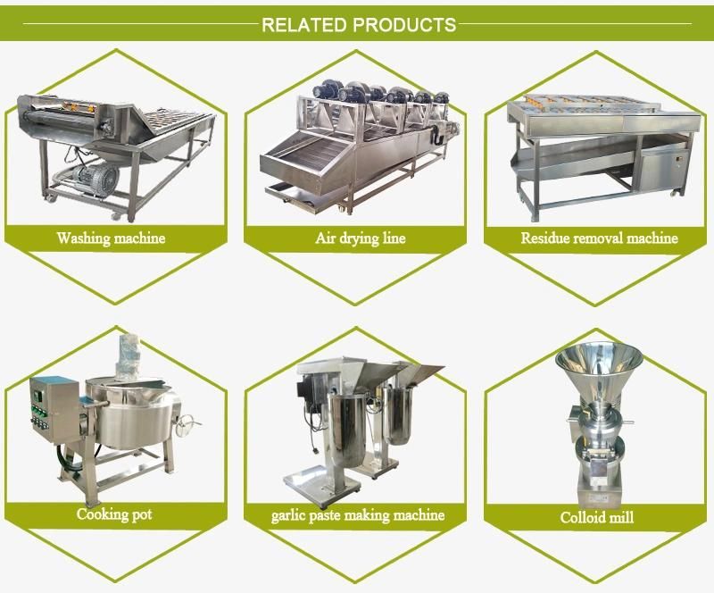 Oyster Washer Machine Pepper Washing Machine Sugarcane Cleaning Machine