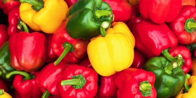 Commerical 380V Bell Pepper Chilli Bubble Washer and Cleaner Washing Machine