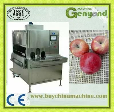 Apple Peeling Machine Peeler Skiving Machine in China