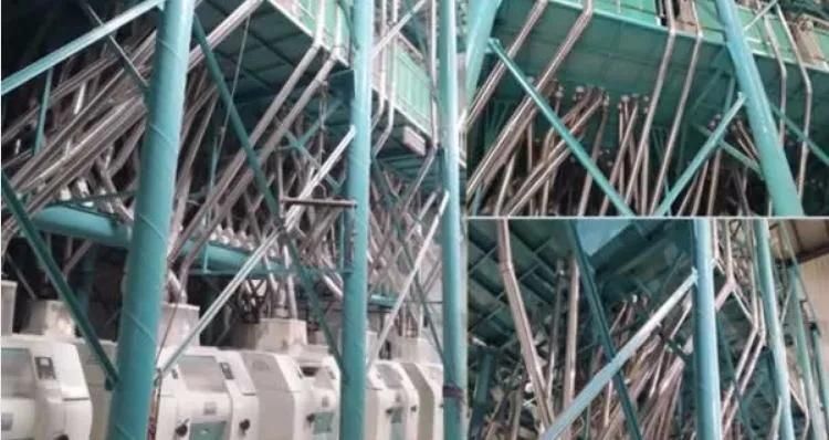Egypt Running 60t Wheat Flour Milling Machinery