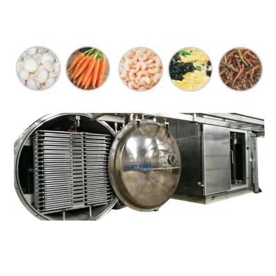 Industrial Rosemary Freeze Dryer Chives Lyophilization Machine