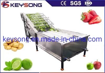 Capacity 800kg/H Fruit Vegetable Cleaning Machinery