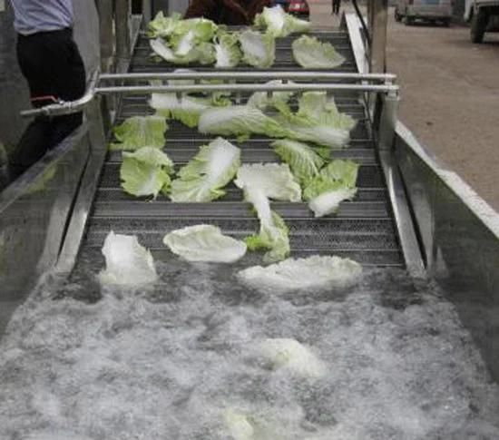 High Quality Fruits Vegetables Washing Processing Cleaning Machinery
