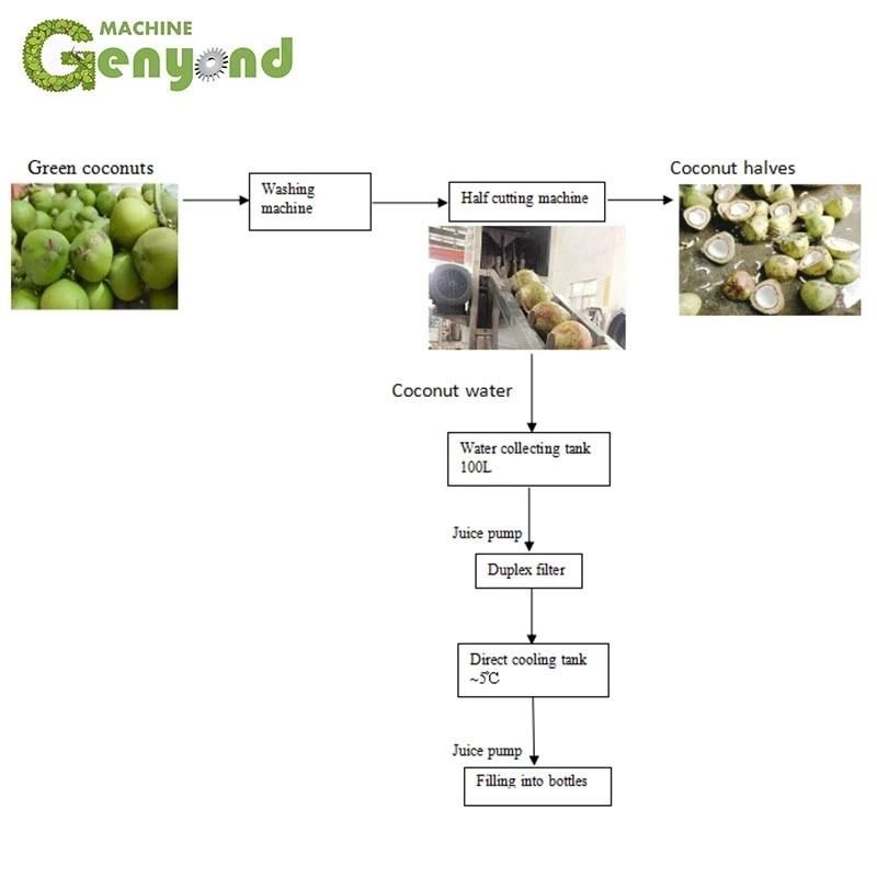 Coconut Peeling Machine for Coconut Milk Processing Machine