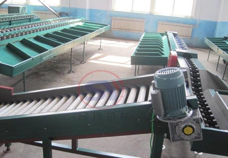 Conveyor Weight Grader Fruit Vegetable Seafood Grading Sorting Machine