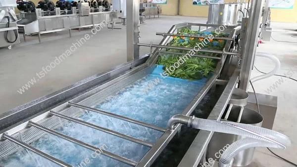 Vegetable Processing Leafy Green Vegetables Bubble Washing Machine with Dryer