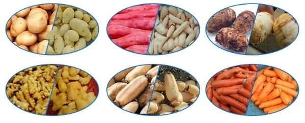 Vegetable Potato Carrot Apple Brush Washer and Peeler Machine