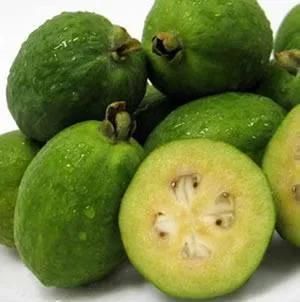 Feijoa Fruit Processing Machine, Whole Factory Line Machinery on Sale