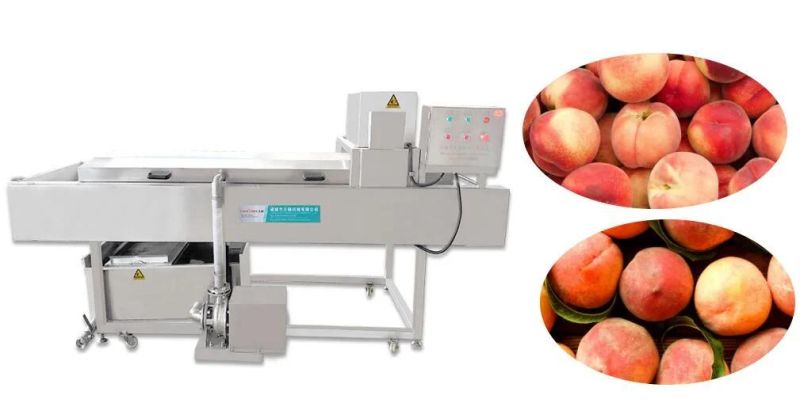 Industrial Fresh Vegetable Fruits Cleaning Processing Peach Washing Machine
