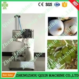 Coconut Peeler / Coconut Peeling Machine / Coconut Trimming Machine