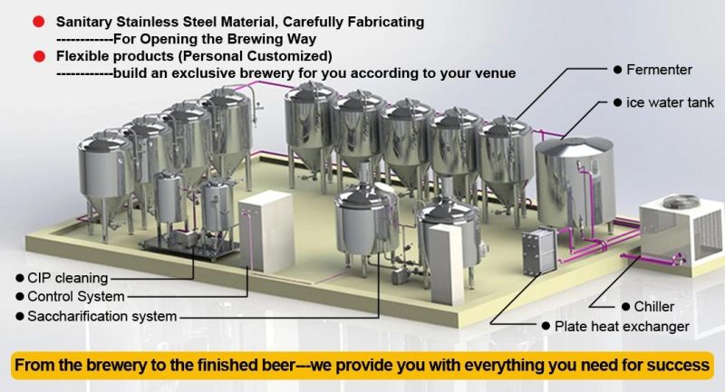 100L 200L 300L Mini Pubs Brew Bar Nano Yeast Beer Equipment/Cone Fermenter/Brewhouse